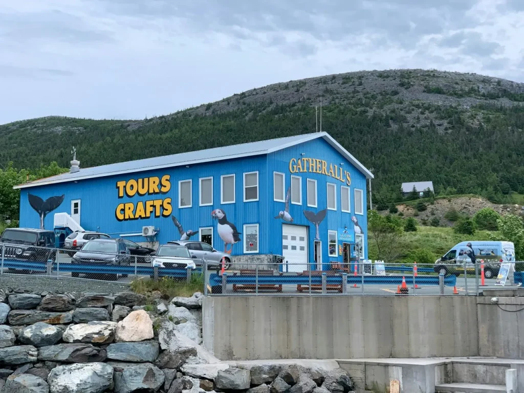 photo 2026 01 20 23.05.08 9 11zon